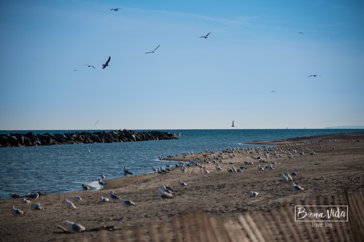 canada-toronto-island-12
