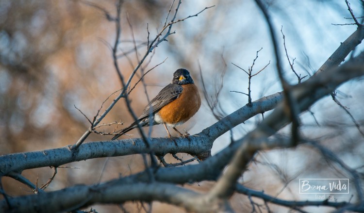 canada-toronto-island-14