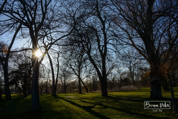 canada-toronto-island-15