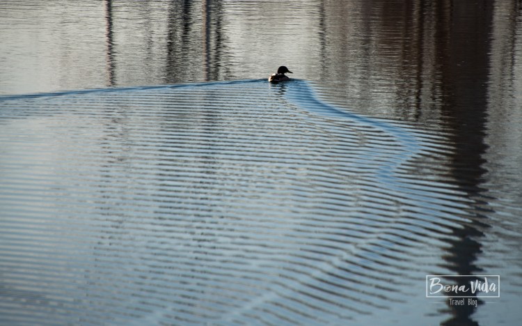 canada-toronto-island-16