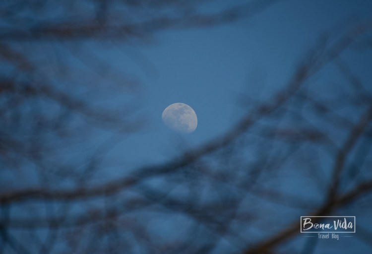 canada-toronto-island-5