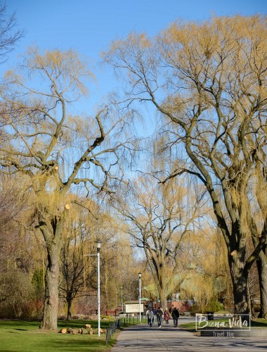 canada-toronto-island-6