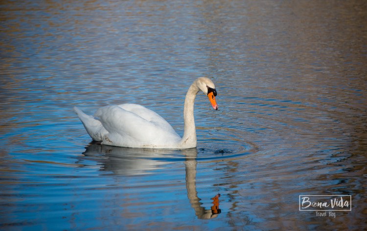 canada-toronto-island-7