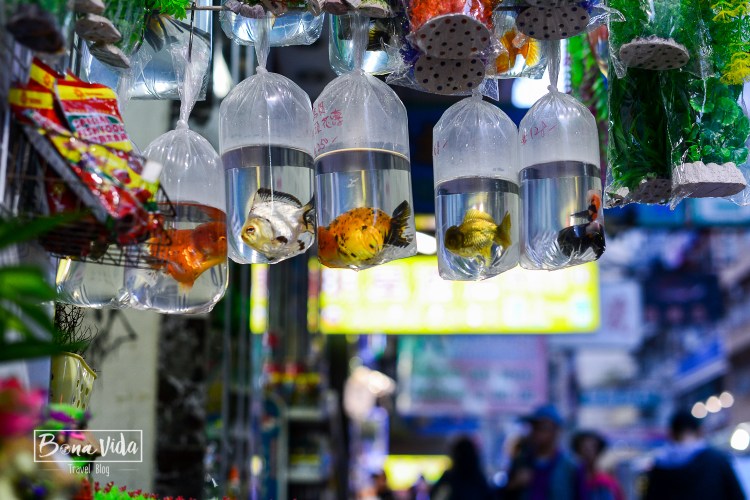 hongkong-mong-kok-market-3