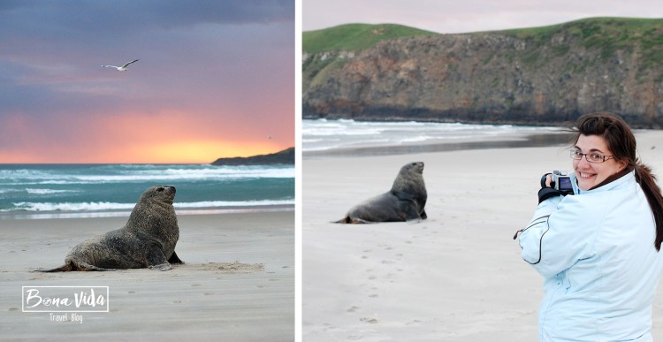 nova-zelanda-cris-foto-lleo-mari