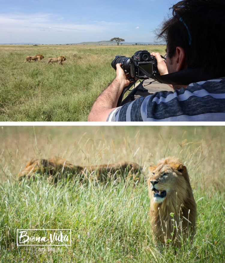 tanzania-safari-mane-fotograf
