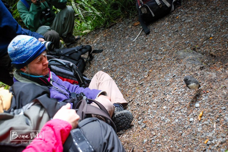 nova zelanda stewart island-15