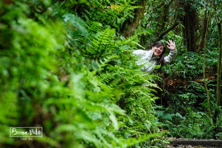 nova zelanda stewart island-3