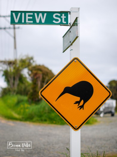 nova zelanda stewart island-4