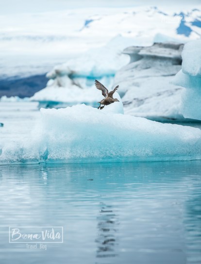 Jökulsárlón, Islandia