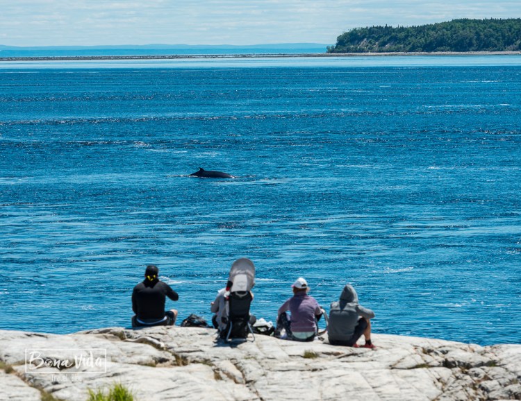 canada_ruta_quebec-39