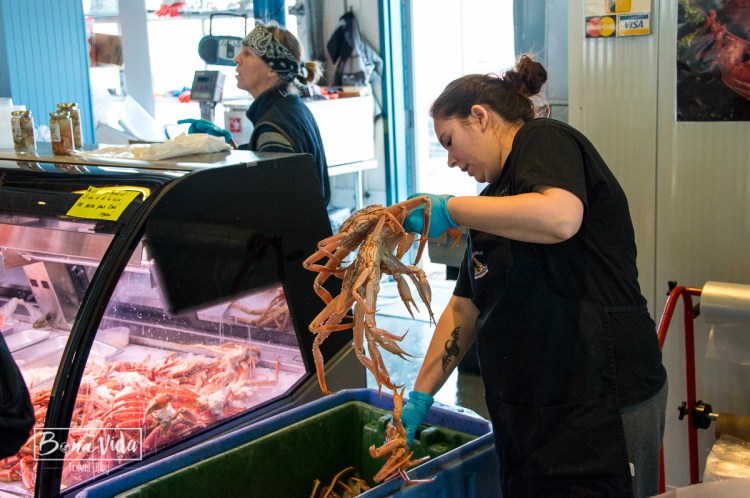 canada_ruta_quebec-50