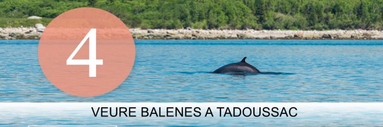 Excursió vaixell Costa Granit Rosa, Ploumanac'h. Bretanya