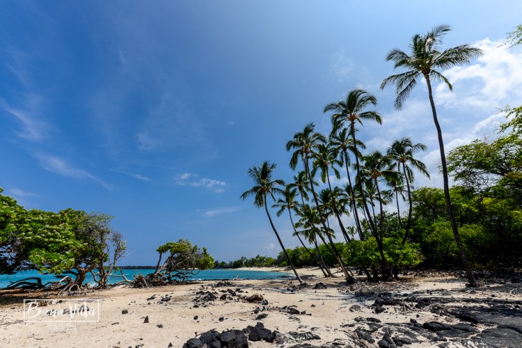 hawaii platges-11