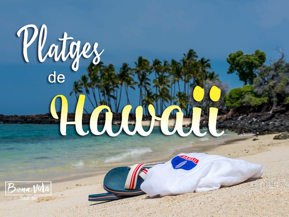 Una Pinya Colada i les increïbles platges de Hawaii,&nbsp;USA