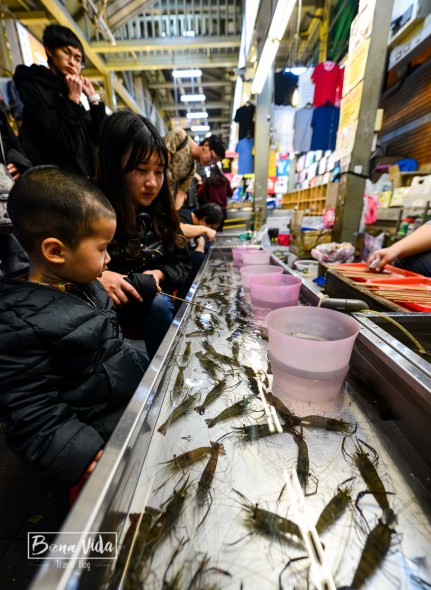 taipei_shilin_night_market-21