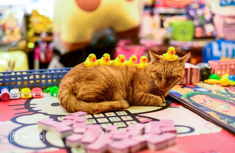 taipei_shilin_night_market-26