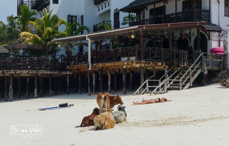 zanzibar_beach-16