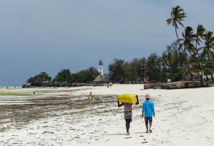zanzibar_beach-26