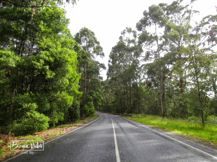 australia great ocean road-18