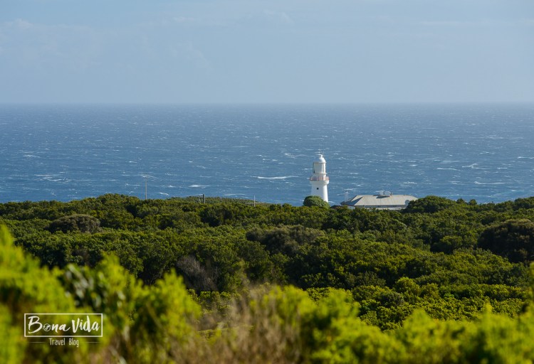australia great ocean road-20