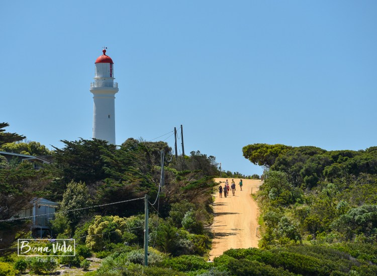 australia great ocean road-36