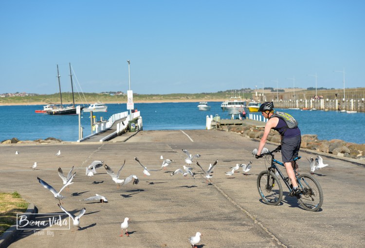 australia great ocean road-39