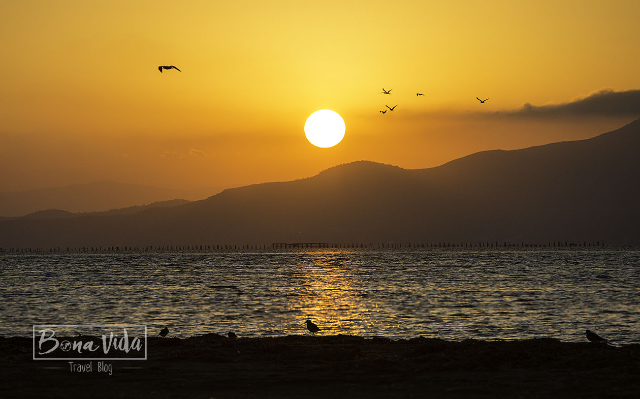 delta ebre sunset platja trabucador