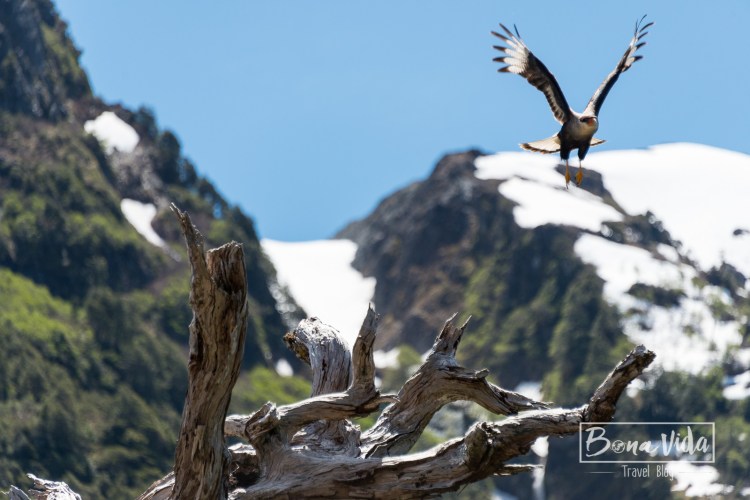 xile_ruta austral-11