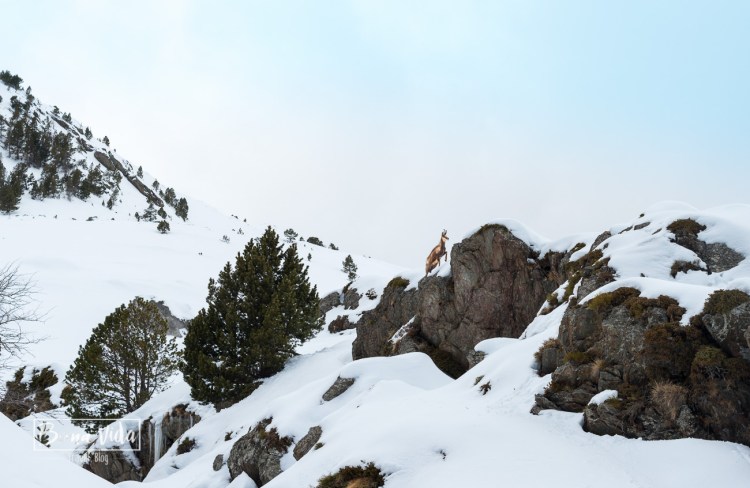 catalunya_vall_nuria-54