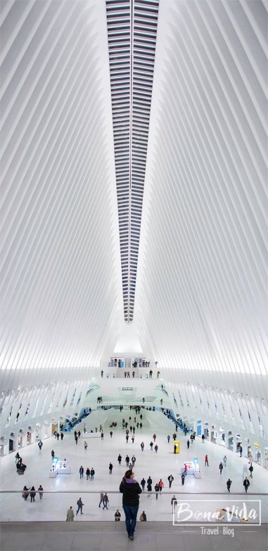 newyork oculus station cris