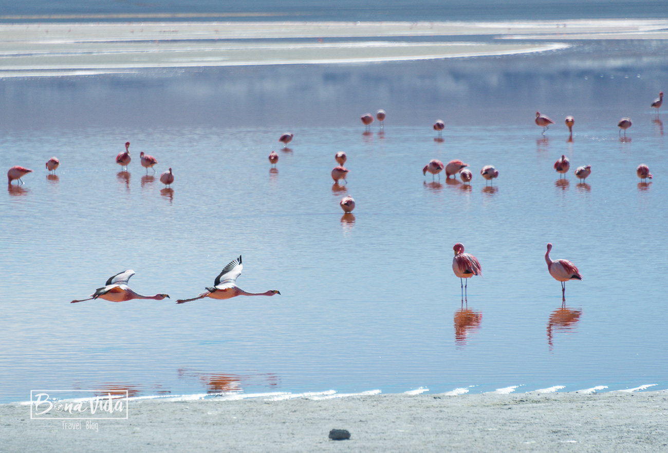 bolivia_uyuni-27