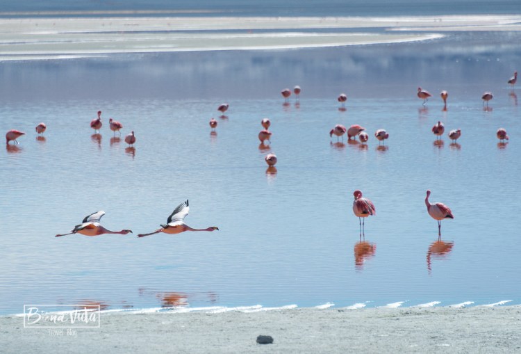 bolivia_uyuni-27