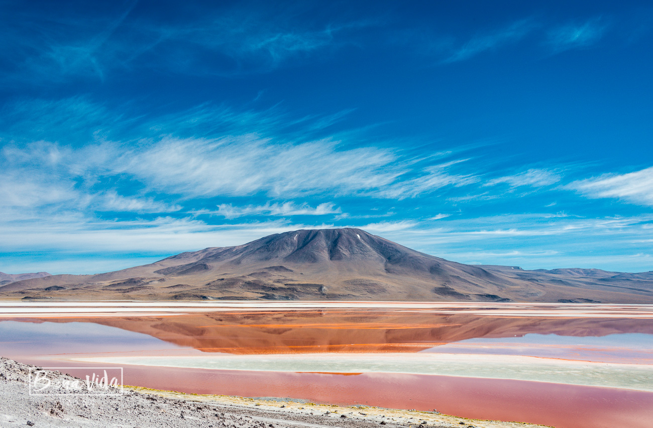 bolivia_uyuni_laguna colorada-39