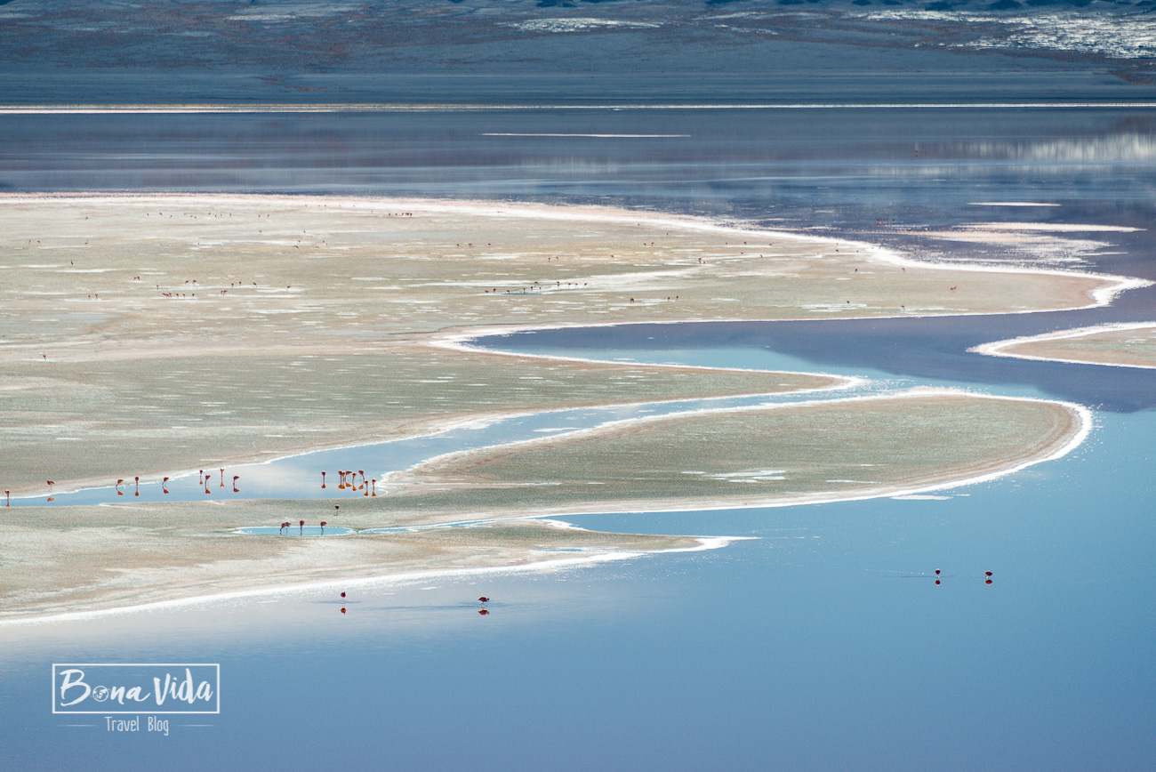 bolivia_uyuni_laguna colorada-40