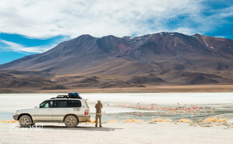 bolivia_uyuni_laguna_cañapa_-34