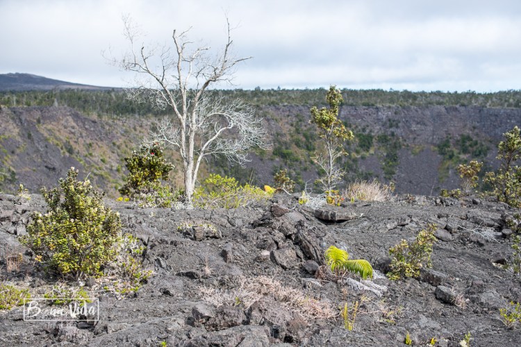 hawaii volca kilauea-20