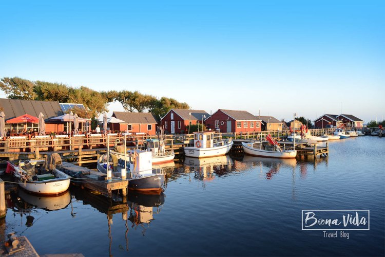 dinamarca_jutland_ringkobing