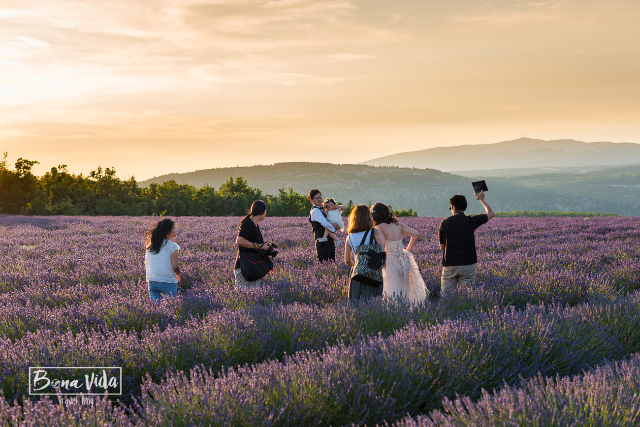france provence lavanda-5