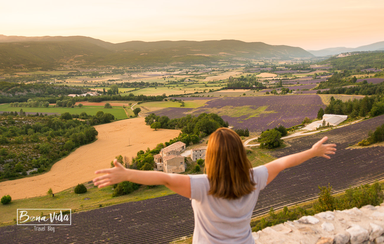 france provence lavanda-6