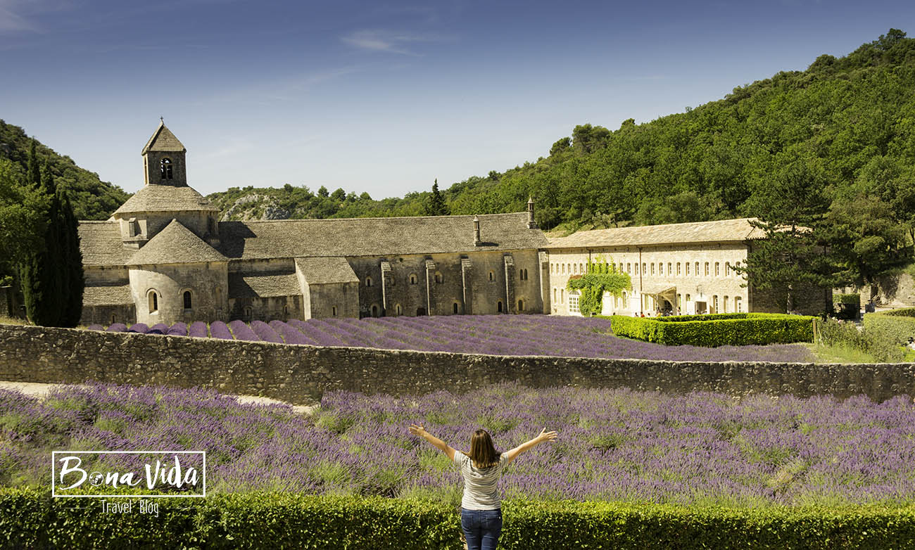 france provence lavanda cris abadia senanque