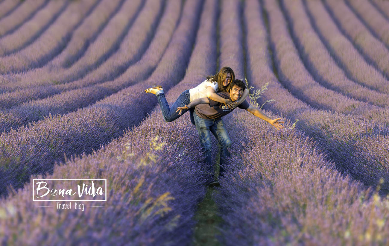france provence lavanda nosaltres camps