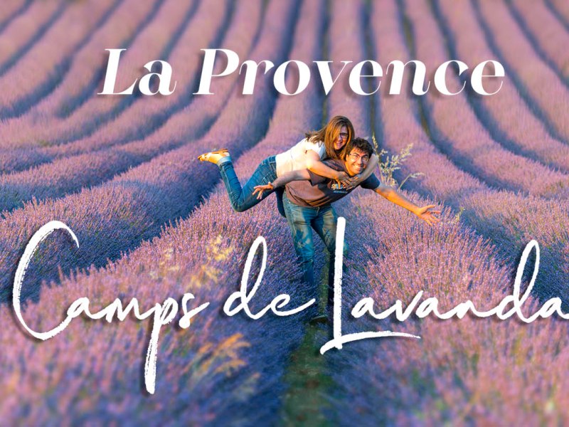 Recorrent els fantàstics camps de lavanda de La Provence.&nbsp;França