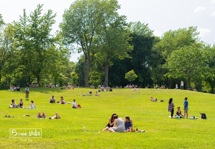 canada montreal festival tamtam-2
