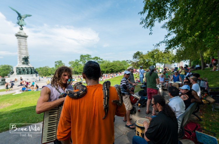 canada montreal festival tamtam-5