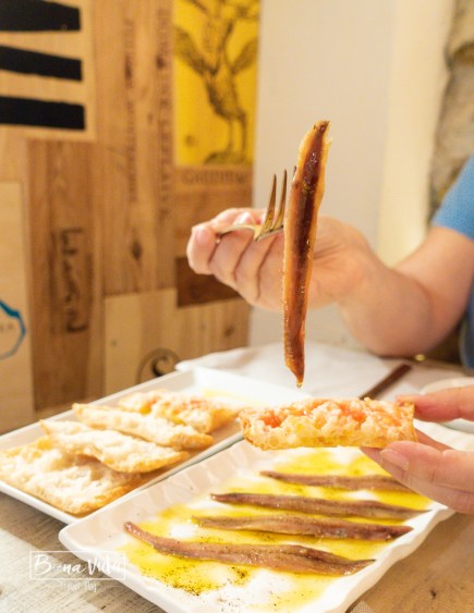 costa brava escala-2