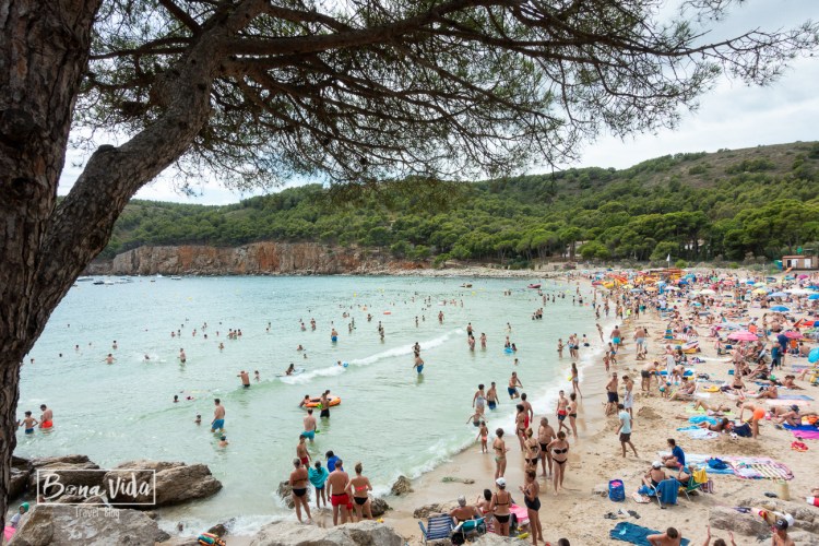 costa brava escala-7