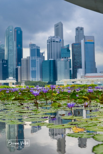 singapur-32