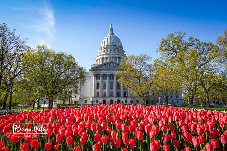 usa chicago madison capitoli