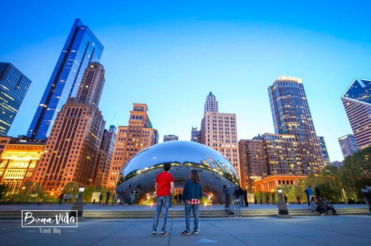 usa chicago nosaltres bean
